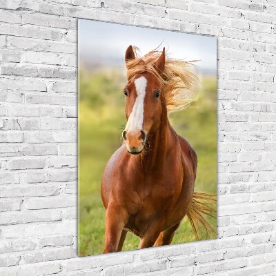Verticaal glasschilderij Een galopperend paard