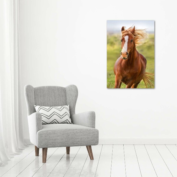 Verticaal glasschilderij Een galopperend paard