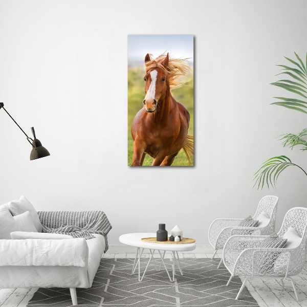 Verticaal glasschilderij Een galopperend paard