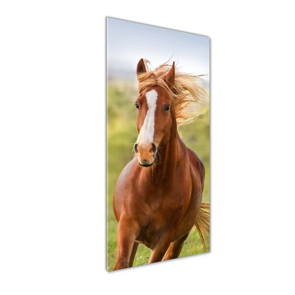 Verticaal glasschilderij Een galopperend paard