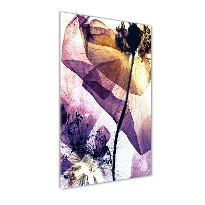 Verticale foto op glas Klaprozen