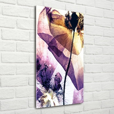 Verticale foto op glas Klaprozen