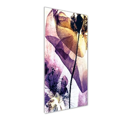 Verticale foto op glas Klaprozen