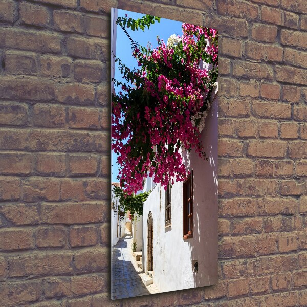 Verticale foto op glas Rhodos, Griekenland