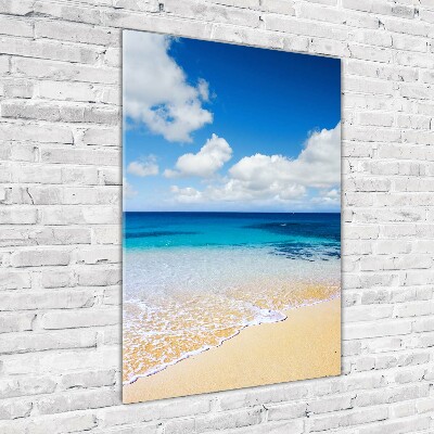 Verticale foto op glas Tropisch strand