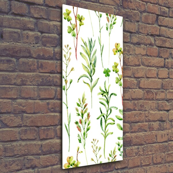 Foto obraz na szkle pionowy Chwasty i zioła