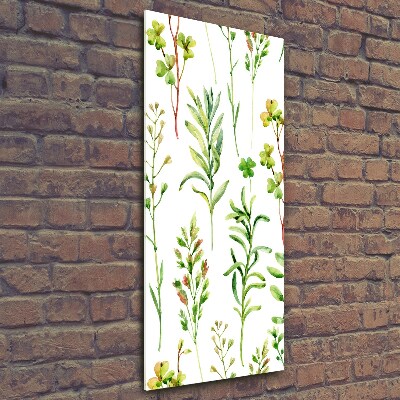 Foto obraz na szkle pionowy Chwasty i zioła