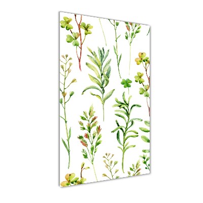 Verticale foto op glas Onkruid en kruiden