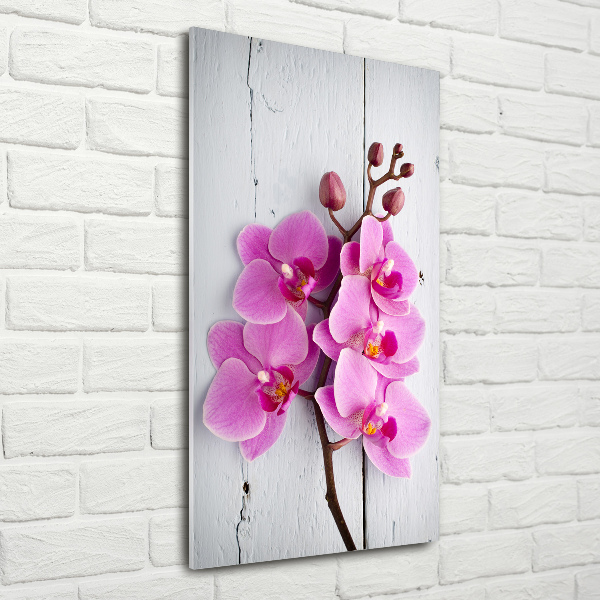 Verticale glasfoto Roze orchidee