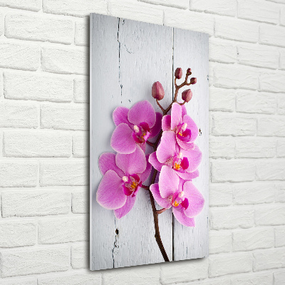 Verticale glasfoto Roze orchidee