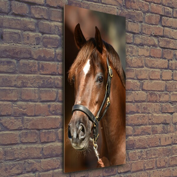 Verticale glasfoto Portret van een paard