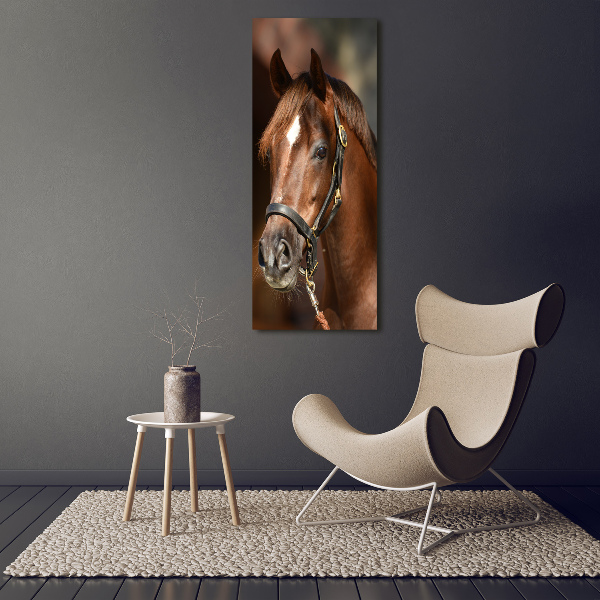 Verticale glasfoto Portret van een paard