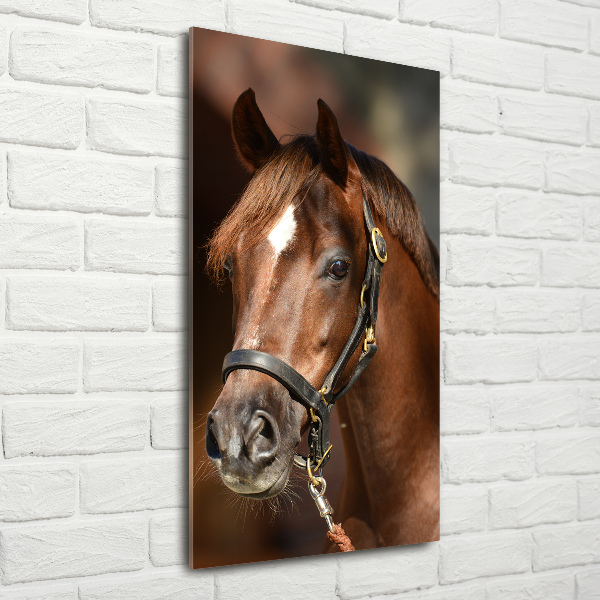 Verticale glasfoto Portret van een paard