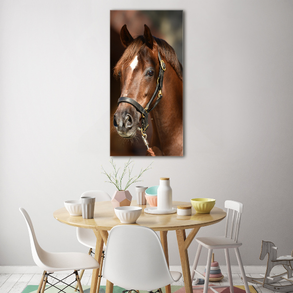 Verticale glasfoto Portret van een paard