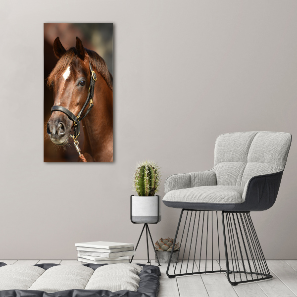 Verticale glasfoto Portret van een paard