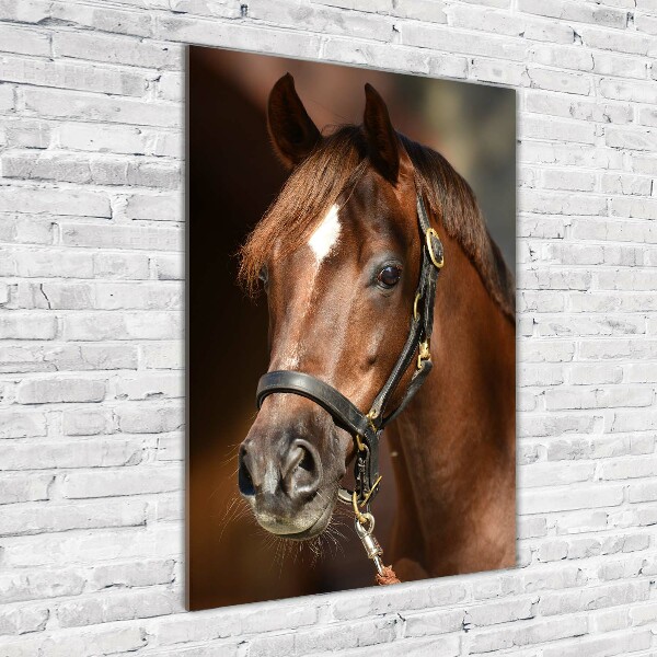 Verticale glasfoto Portret van een paard
