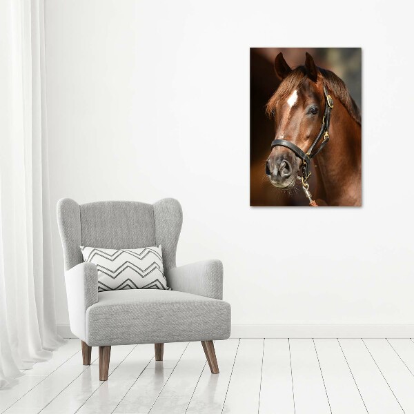 Verticale glasfoto Portret van een paard