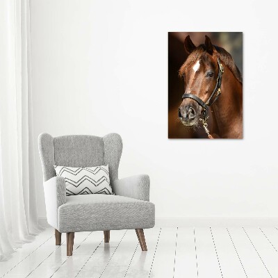 Verticale glasfoto Portret van een paard