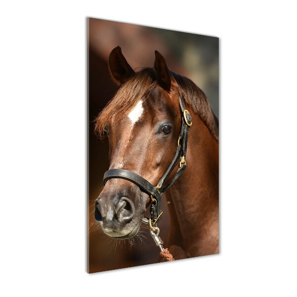 Verticale glasfoto Portret van een paard