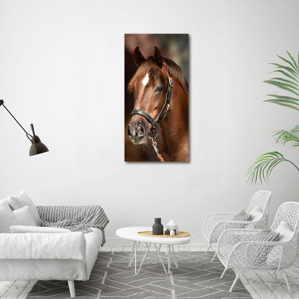 Verticale glasfoto Portret van een paard