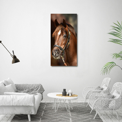 Verticale glasfoto Portret van een paard