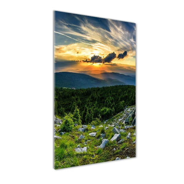 Foto obraz szkło hartowane pionowy Panorama gór