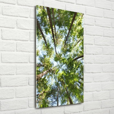 Verticale foto op glas Boomkroon