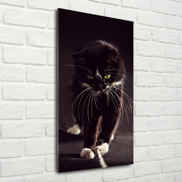 Verticale foto op glas Zwarte kat