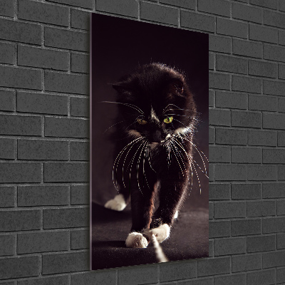 Verticale foto op glas Zwarte kat