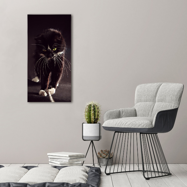 Verticale foto op glas Zwarte kat