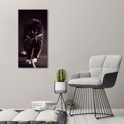 Verticale foto op glas Zwarte kat