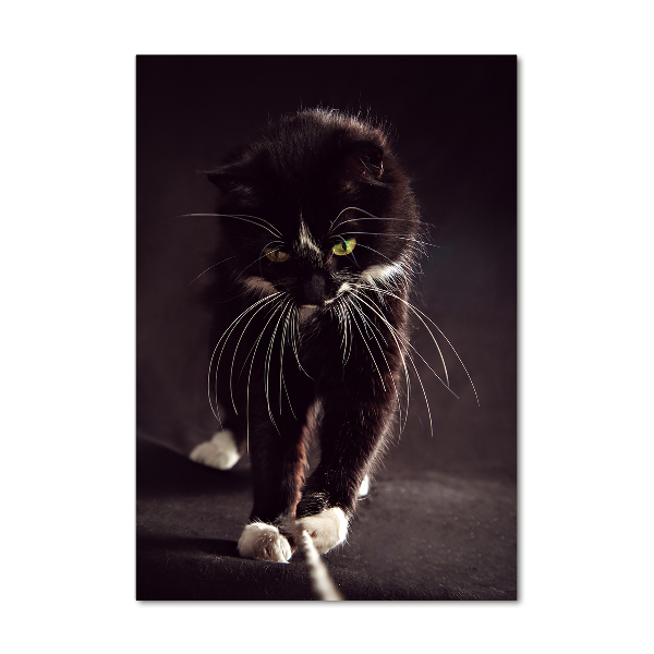 Verticale foto op glas Zwarte kat