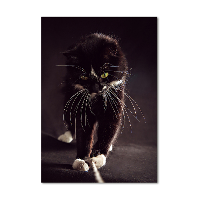 Verticale foto op glas Zwarte kat