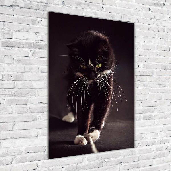 Verticale foto op glas Zwarte kat