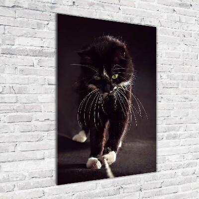 Verticale foto op glas Zwarte kat