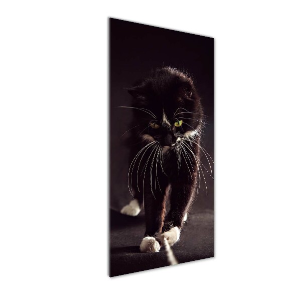 Verticale foto op glas Zwarte kat