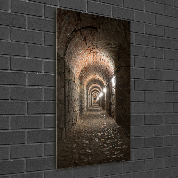 Verticale foto op glas Kelders