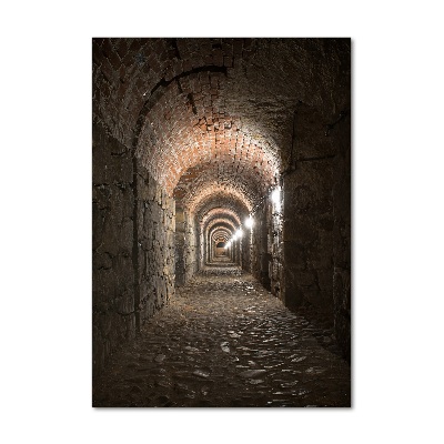 Verticale foto op glas Kelders