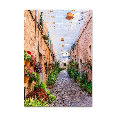 Foto obraz na szkle pionowy Majorka Hiszpania