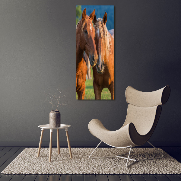 Verticale glasfoto Twee paarden