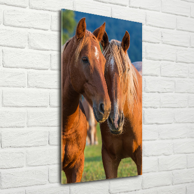 Verticale glasfoto Twee paarden