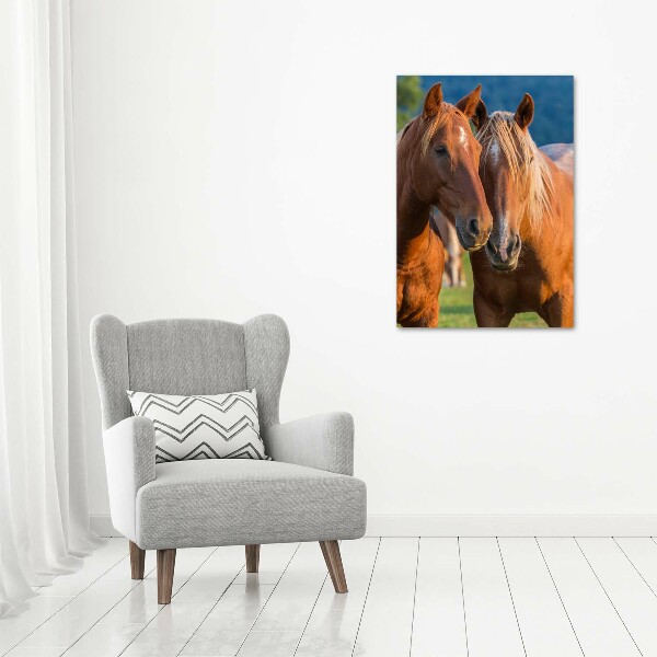 Verticale glasfoto Twee paarden