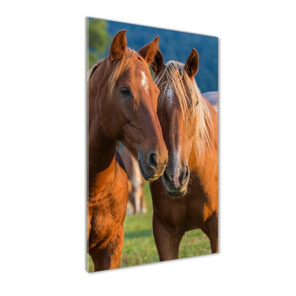 Verticale glasfoto Twee paarden