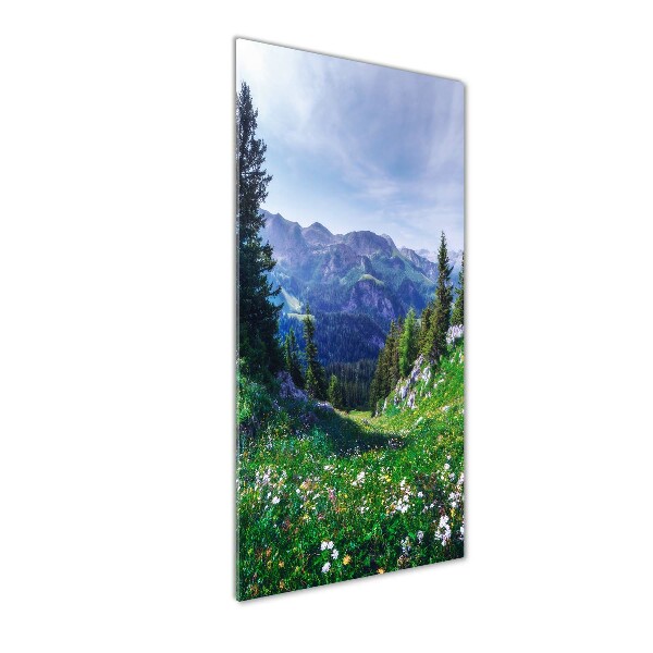 Verticale glasfoto Alpen