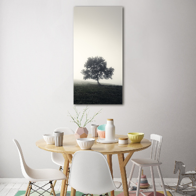 Foto obraz zdjęcie na szkle pionowy Drzewo we mgle