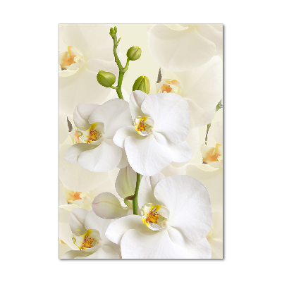Verticale glasfoto Witte orchidee