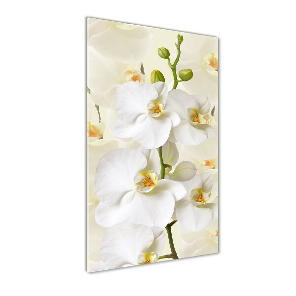 Verticale glasfoto Witte orchidee