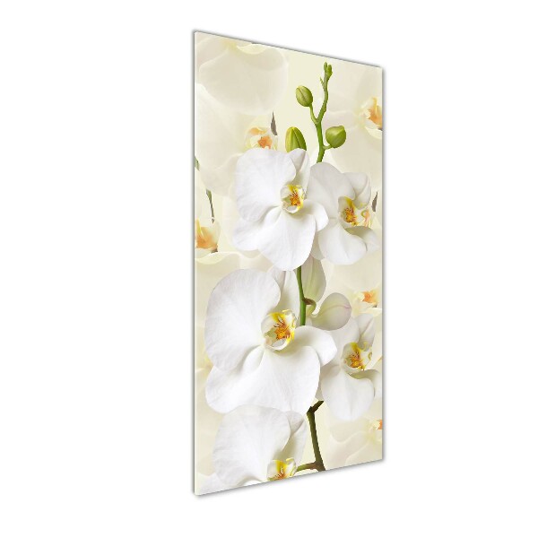 Verticale glasfoto Witte orchidee