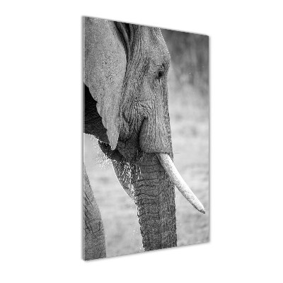 Verticale glasfoto Olifant