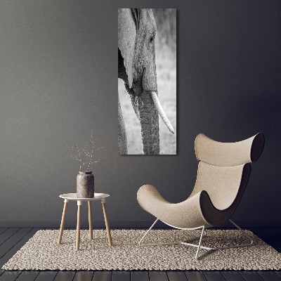 Verticale glasfoto Olifant